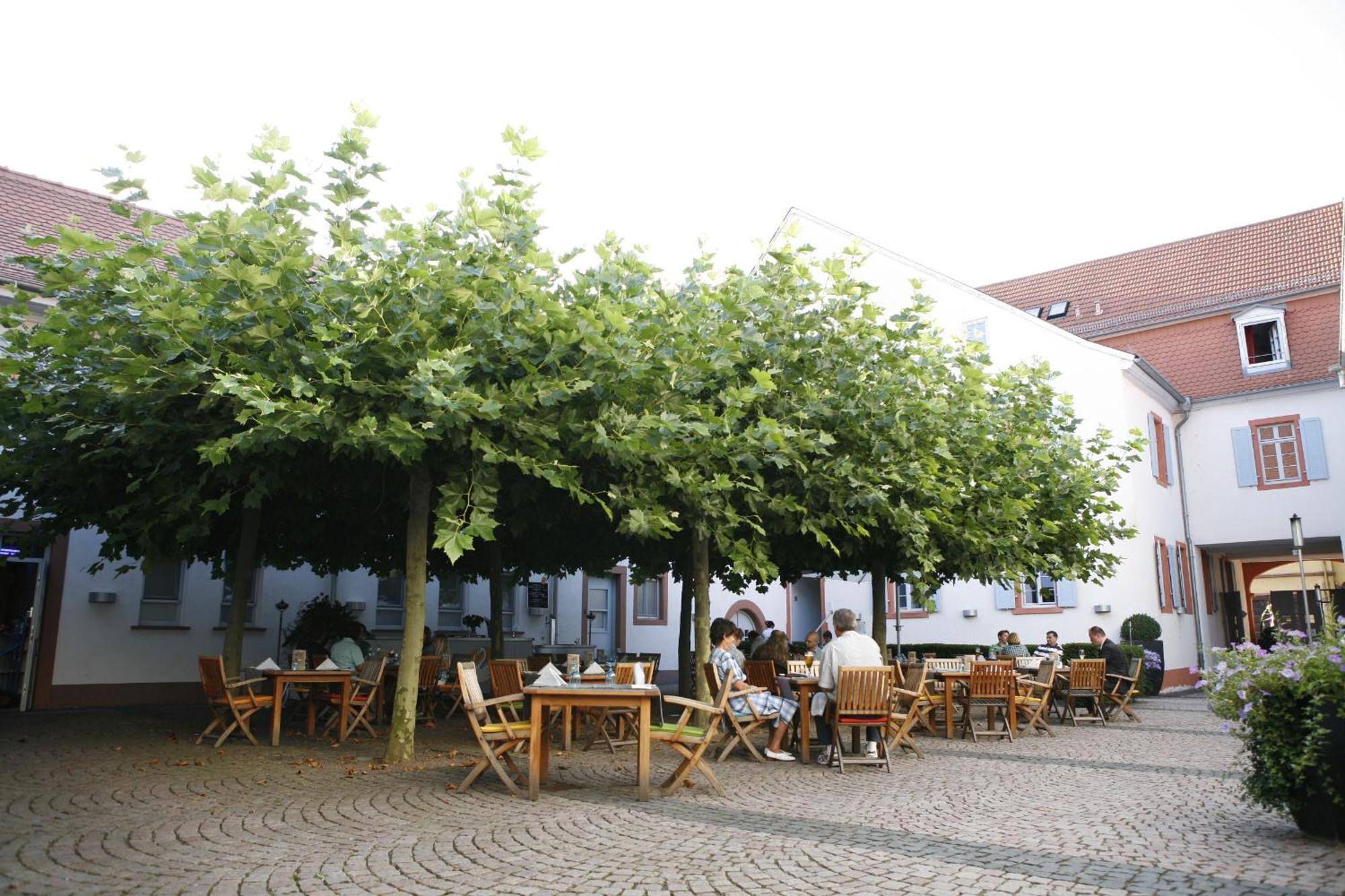 Landhotel Zum Schwanen Mit Restaurant Mona Liza Osthofen Exteriér fotografie